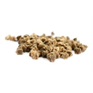 Graines de Betterave sucrière