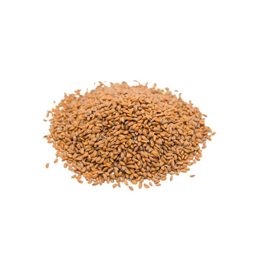 Les graines de cresson, cette mine de bienfaits qui contribue à la bonne  santé du corps – Esseha